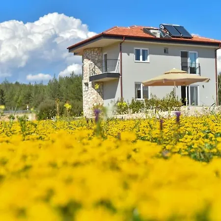 3 Bedroom With Private Pool Villa